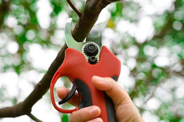 K25 Cordless Battery Electric Pruning Scissors price